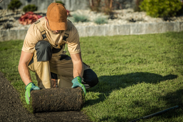7 Best Software Tools For Landscapers